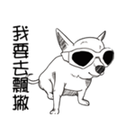 可愛いチワワ皆さんと楽しみ（個別スタンプ：28）