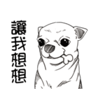 可愛いチワワ皆さんと楽しみ（個別スタンプ：30）