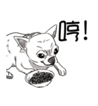 可愛いチワワ皆さんと楽しみ（個別スタンプ：32）