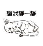 可愛いチワワ皆さんと楽しみ（個別スタンプ：33）