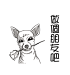可愛いチワワ皆さんと楽しみ（個別スタンプ：34）
