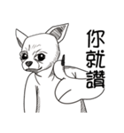 可愛いチワワ皆さんと楽しみ（個別スタンプ：37）