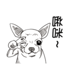 可愛いチワワ皆さんと楽しみ（個別スタンプ：39）