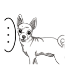 可愛いチワワ皆さんと楽しみ（個別スタンプ：40）