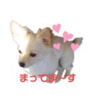 ムーちゃんheart（個別スタンプ：1）