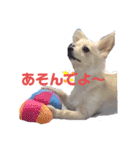 ムーちゃんheart（個別スタンプ：4）