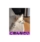 ムーちゃんheart（個別スタンプ：5）