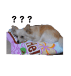 ムーちゃんheart（個別スタンプ：6）