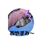 ムーちゃんheart（個別スタンプ：7）