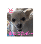 ムーちゃんheart（個別スタンプ：8）