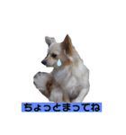 ムーちゃんheart（個別スタンプ：9）