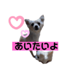 ムーちゃんheart（個別スタンプ：11）