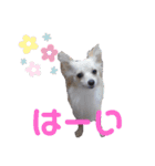 ムーちゃんheart（個別スタンプ：12）