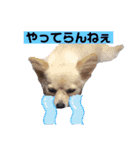 ムーちゃんheart（個別スタンプ：13）