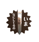 うたちゃんスタンプ001（個別スタンプ：1）