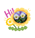 お花で遊ぼう4（個別スタンプ：5）