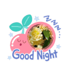 お花で遊ぼう4（個別スタンプ：7）