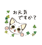 こんな時だからこその猫のサクラ！（個別スタンプ：1）