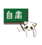 こんな時だからこその猫のサクラ！（個別スタンプ：9）