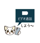 こんな時だからこその猫のサクラ！（個別スタンプ：15）