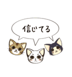 こんな時だからこその猫のサクラ！（個別スタンプ：38）