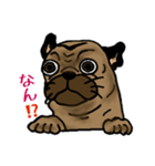 パグムクスタンプ（個別スタンプ：2）