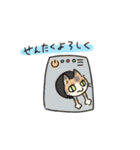 ヘナとジジ（個別スタンプ：30）