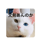 猫ちゃんスタンプきゃわいい（個別スタンプ：4）