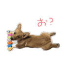 大好きココちゃん！（個別スタンプ：2）