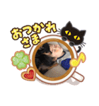 ミニピン「もあ」の日常スタンプ（個別スタンプ：11）