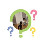ミニピン「もあ」の日常スタンプ（個別スタンプ：19）