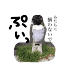 ながはまさんち（個別スタンプ：9）