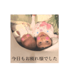 ながはまさんち（個別スタンプ：10）