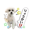 we♡swan（個別スタンプ：1）