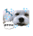 we♡swan（個別スタンプ：2）