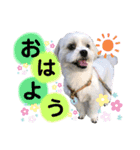 we♡swan（個別スタンプ：5）