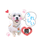 we♡swan（個別スタンプ：6）