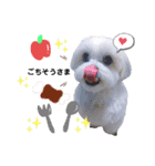 we♡swan（個別スタンプ：9）