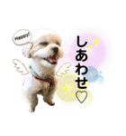 we♡swan（個別スタンプ：14）