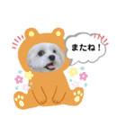 we♡swan（個別スタンプ：15）