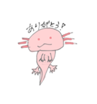 うちのうぱ（個別スタンプ：1）