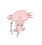 うちのうぱ（個別スタンプ：5）