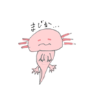 うちのうぱ（個別スタンプ：6）