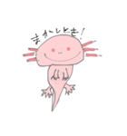 うちのうぱ（個別スタンプ：12）