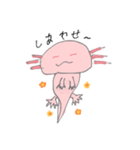 うちのうぱ（個別スタンプ：19）