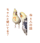 オカメインコのぴっぴとぽっぽ（個別スタンプ：8）