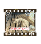 にぼしです。（個別スタンプ：6）