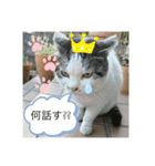 にぼしです。（個別スタンプ：8）