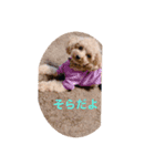 すずきそらくん（個別スタンプ：6）