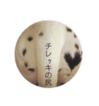 ダル生活（個別スタンプ：14）